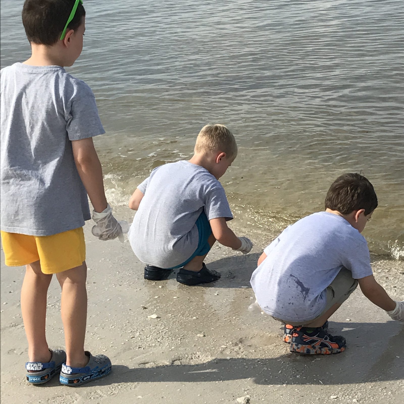 Students learning at the beach