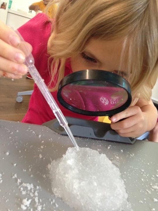 Discovery Day Academy students in science class
