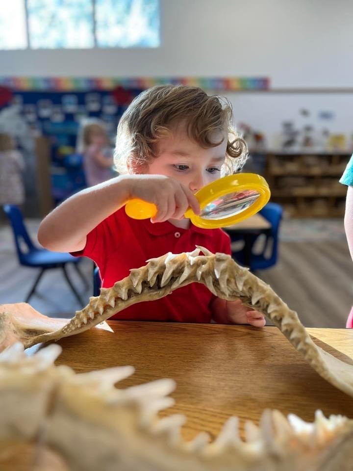 Discovery Day Academy science exploration